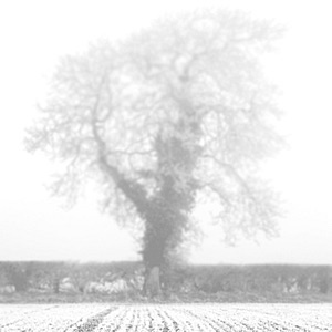 Orphan - The poetry, philosophy and fiction of Luke Andreski cover