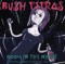 Too Many Creeps - Bush Tetras lyrics