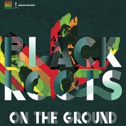 Black Roots - On the Ground