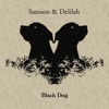 Black Dog - Single