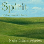 Spirit of the Great Plains (Native Indian Selection) artwork