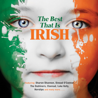 Various Artists - The Best That Is Irish artwork