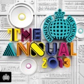 The Annual 2013 - Ministry of Sound artwork