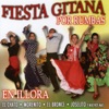 Fiesta Gitana por Rumbas