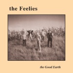 The Feelies - Slipping (Into Something)