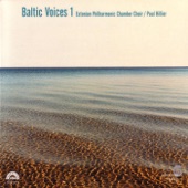 Baltic Voices 1 artwork