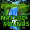Nature Sounds - Soothing Sounds of Nature album lyrics, reviews, download
