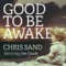 Sarina - Chris Sand lyrics