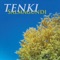 Tenki - Salmagundi lyrics