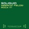 Meerkat Fields (Original Mix) - Soliquid lyrics