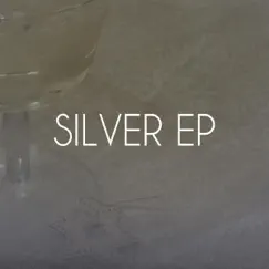 Silver - Single by Martin Eyerer & Sasse album reviews, ratings, credits