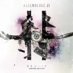 Bruise (Limited Edition) - Assemblage 23