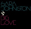 Big Love (Single) artwork
