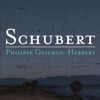 Schubert: Piano Sonatas, D. 784 & 958, 2013