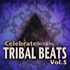 Celebrate Tribal Beats, Vol. 5 (Collection from Progressive to Tech House With Jazzy Latin Tribal Influences) by Various Artists album reviews, ratings, credits