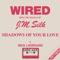 Shadows of Your Love (Ben Liebrand Minimix) - Wired & J.M. Silk lyrics