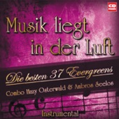 Musik liegt in der Luft artwork