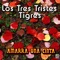 Despertar - Los Tres Tristes Tigres lyrics