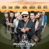 Sing meinen Song - Das Tauschkonzert (Deluxe Edition) artwork