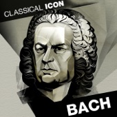 Brandenburg Concerto No. 1 in F Major, BWV 1046: II. Adagio artwork