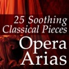 25 Soothing Classical Pieces: Opera Arias artwork
