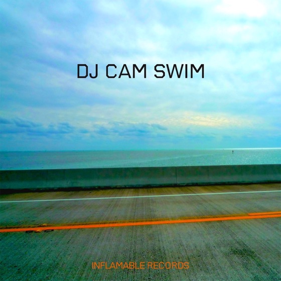 Cover artwork for Swim (feat. Chris James)
