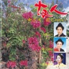 山里ユキ - Inagu Mitchai Hana Jakai