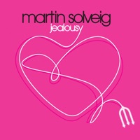 Martin Solveig - Jealousy