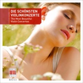 Violin Concerto in E Minor, Op. 64: I. Allegro molto appassionato artwork