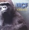 Radi Sta Te Placa - THCF lyrics
