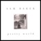 Broken Fingers - Sam Baker lyrics