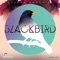 Blackbird - Sjoerd Korsuize lyrics