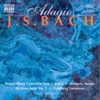 Bach: Adagio artwork