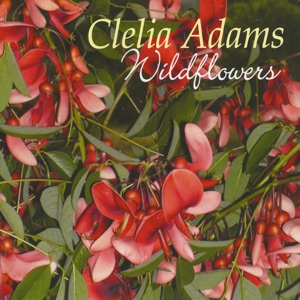 Clelia Adams - Wildflowers - 排舞 音乐