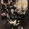 Peter Himmelman - Always in Disguise