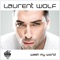 Wash My World (Robbie Rivera's Juicy Mix) - Laurent Wolf lyrics