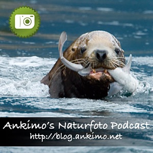 Ankimo's Naturfotografie Blog