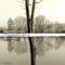 String Quartet op.41 no.2: I. Allegro vivace artwork