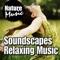 Reading Rainbows - Gentle Birds and Lapping Water - Nature Music lyrics