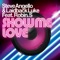 Show Me Love - Steve Angello & Laidback Luke lyrics