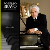 Roberto Bravo de Colección, Vol.2 artwork