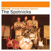 The Spotnicks - Amapola