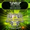 Levels (Pumpin' Remix) - Marz Project & DJ Dizzy lyrics