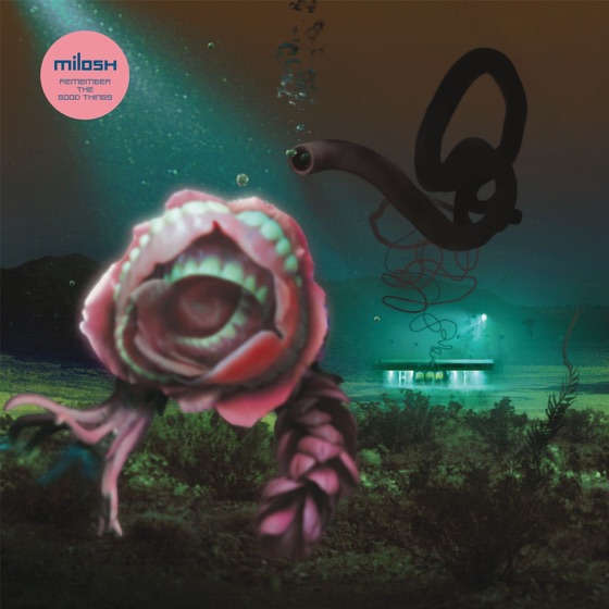 Cover artwork for Remember the Good Things