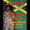 Hard Sound Fi Dead - Welton Irie lyrics