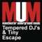 Escape (Tempered DJ's Remix) - Tempered DJ & 's & Tiny lyrics