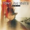 I Want My Fleetwood Back - Tony Joe White lyrics
