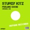 Feeling Good - Sturdy Kitz lyrics