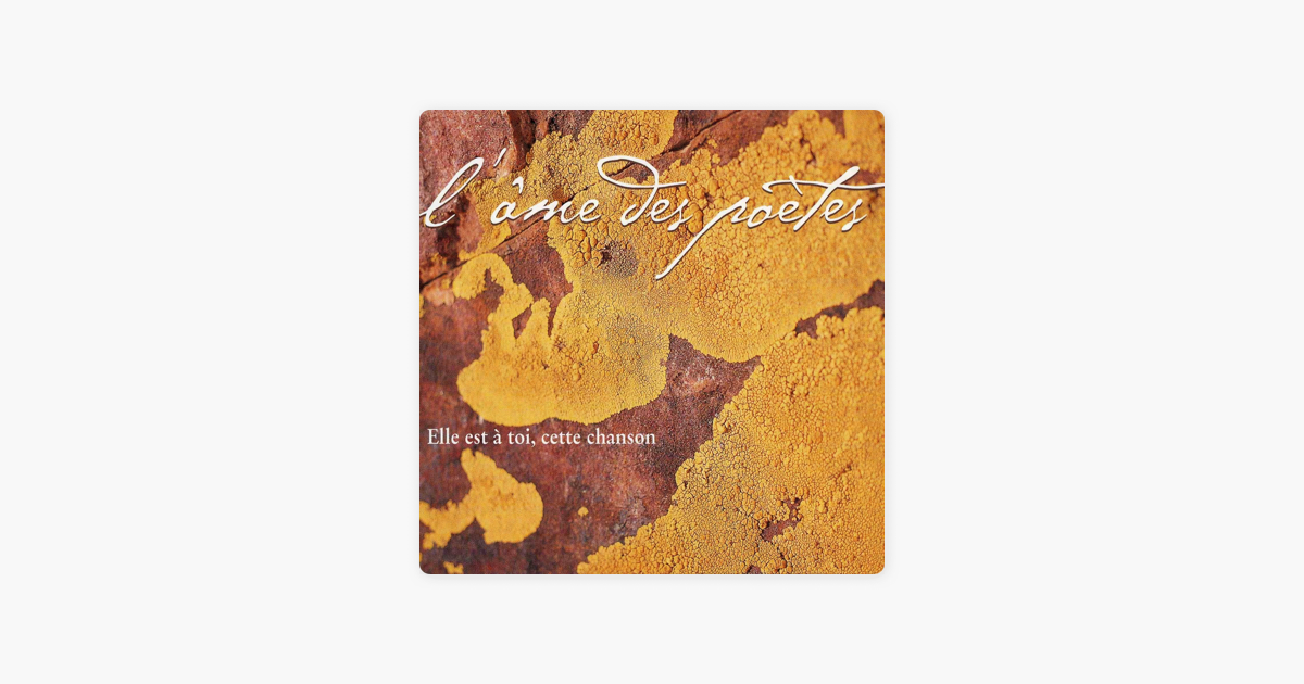 Elle Est à Toi Cette Chanson Paroles