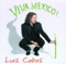 Huapango - Luis Cobos & Royal Philharmonic Orchestra lyrics